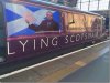 Scot.jpg
