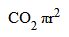 co2.jpg