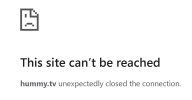 hummy closed.jpg